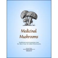 mmcover
