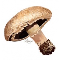 portobello-90103259